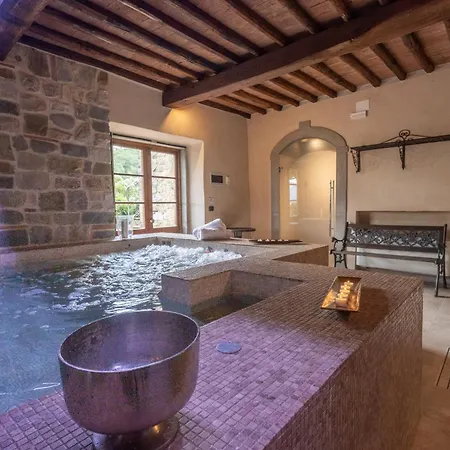 My Exclusive Italy - Chianti With Exclusive Pool And Typical Barn * Greve in Chianti